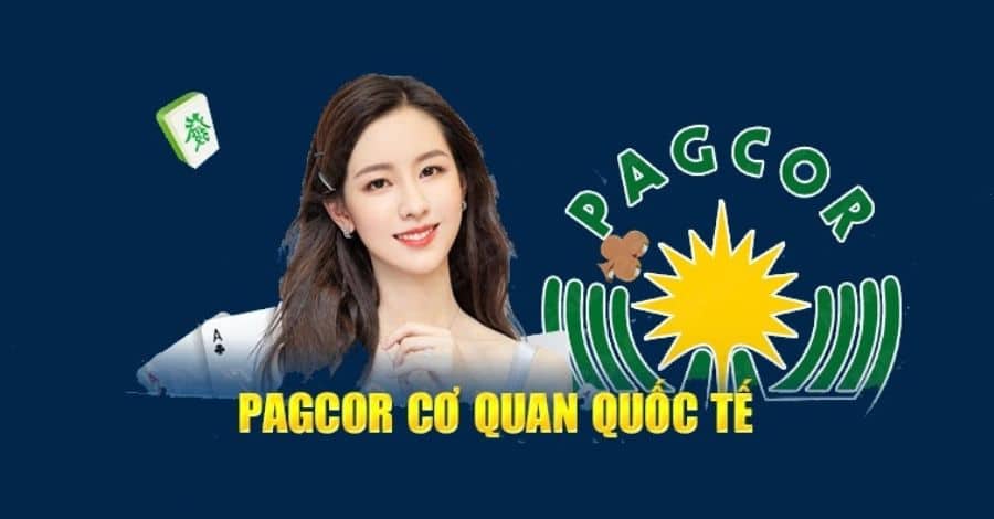 Một số loại giấy phép hợp lệ hiện nay